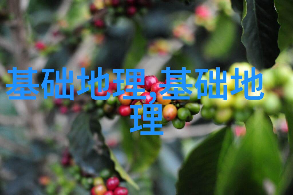 从国服说到国花